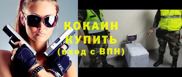 шишки Абинск