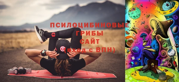 МДПВ Алзамай