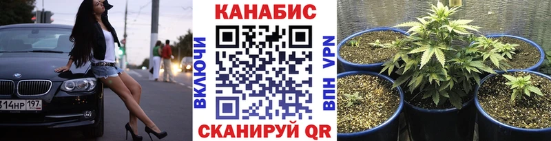 Бошки Шишки ГИДРОПОН  Дятьково 